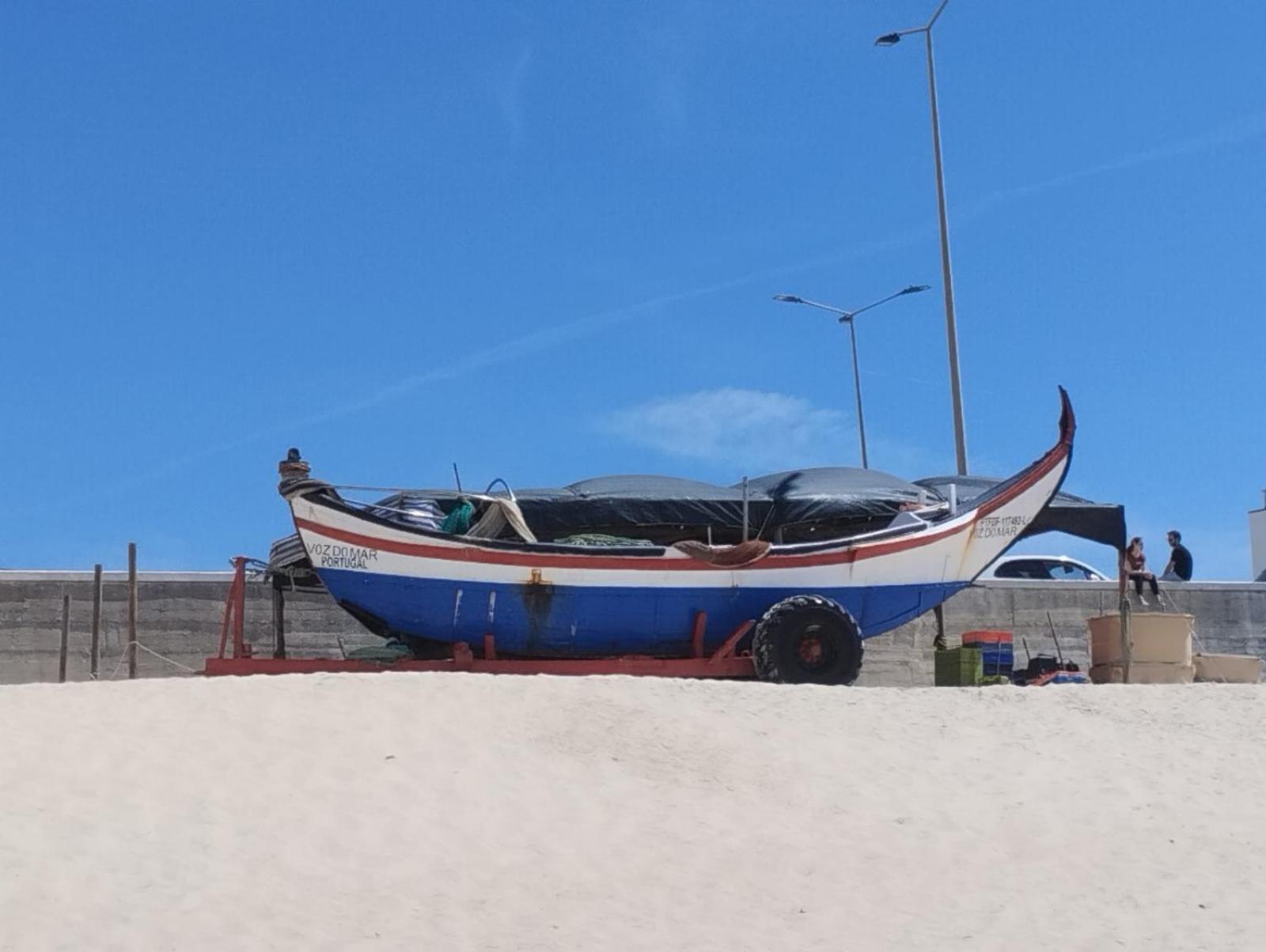 Magnifique Atlantic Terrace Maison Figueira da Foz Esterno foto